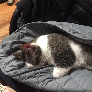 Meet your Posher, Michael